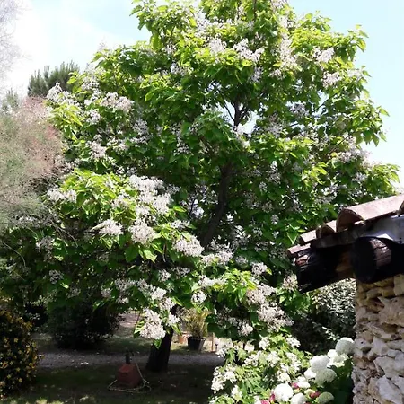 Le Clos D'almide B&B *